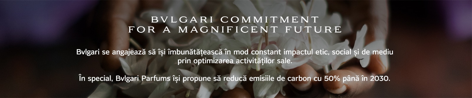 CSR BANNER 1600 X 335 px.jpg